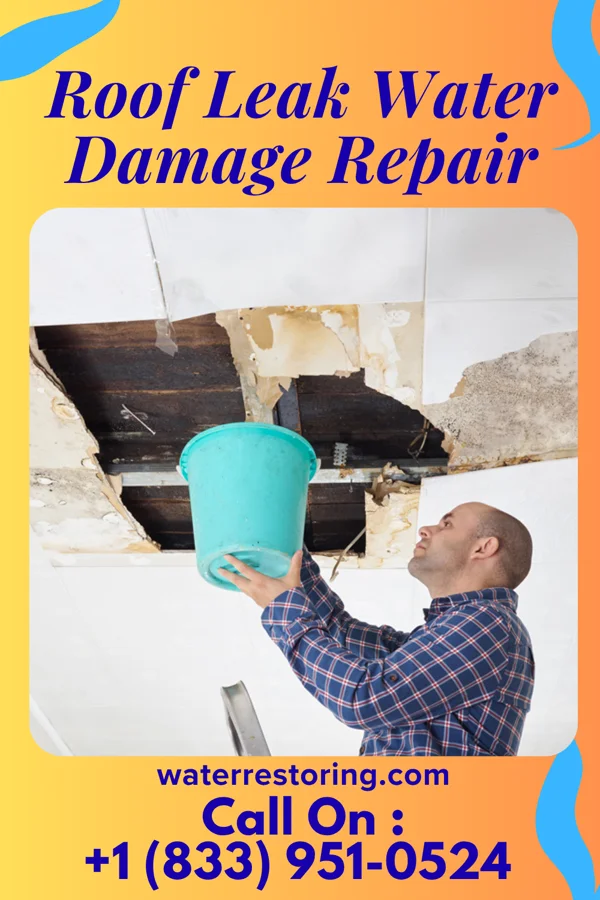 Roof Leak Water Damage Repair in Mustang Ridge, TX